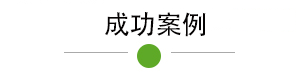 成功案例